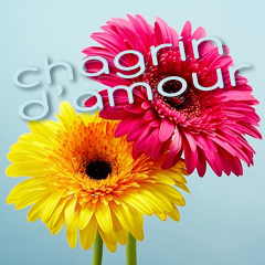 Chagrin d’amour et sophrologie