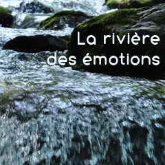 gestion des émotions lyon
