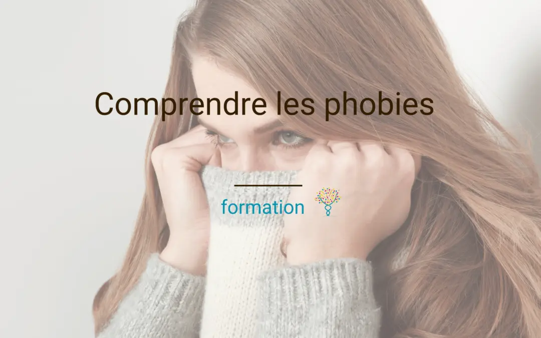 toute la théorie sur les phobies