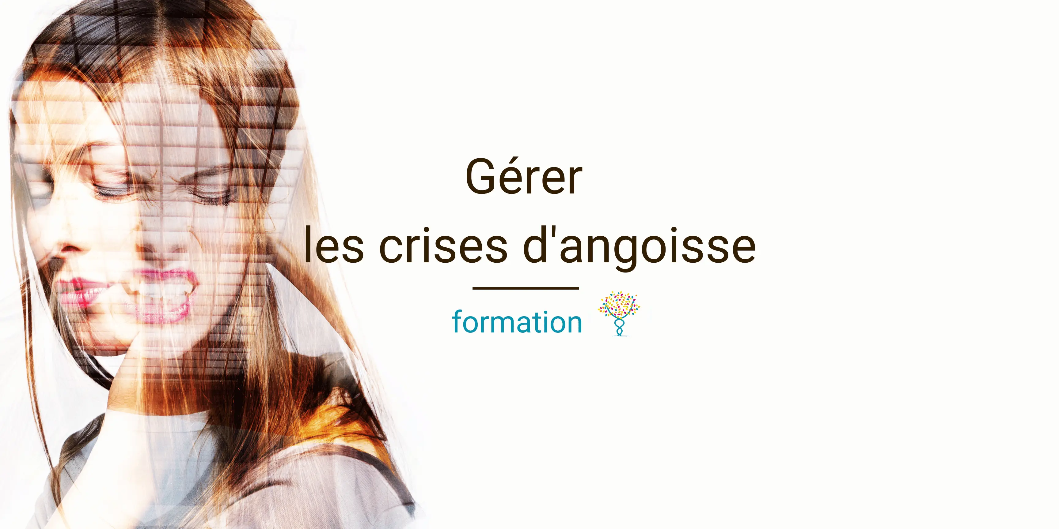 comprendre et gérer les crises d'angoisse formation pour gérer les peurs les l'angoisse